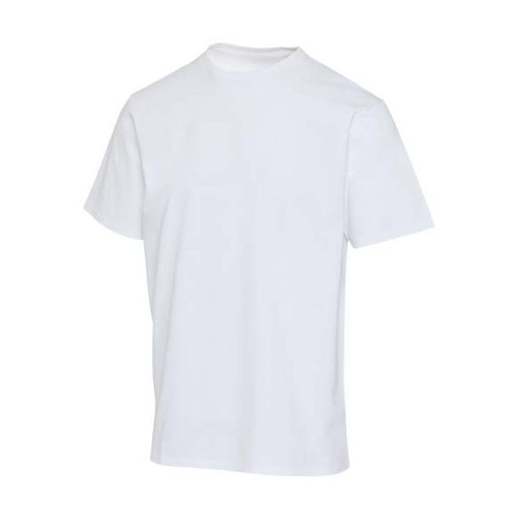 Lucas 280 g/m2 unisex OCS organic oversized t-shirt 