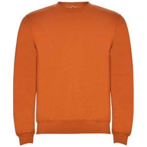 Clasica kids crewneck sweater