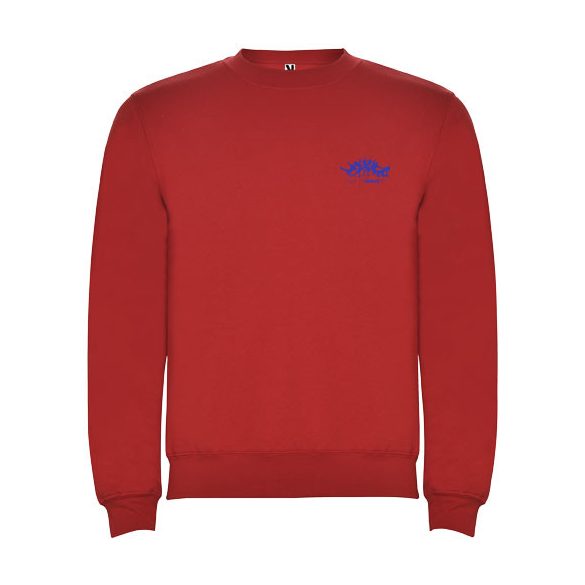 Clasica kids crewneck sweater