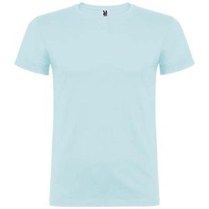 Beagle short sleeve kids t-shirt