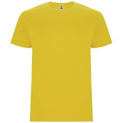 Stafford short sleeve kids t-shirt