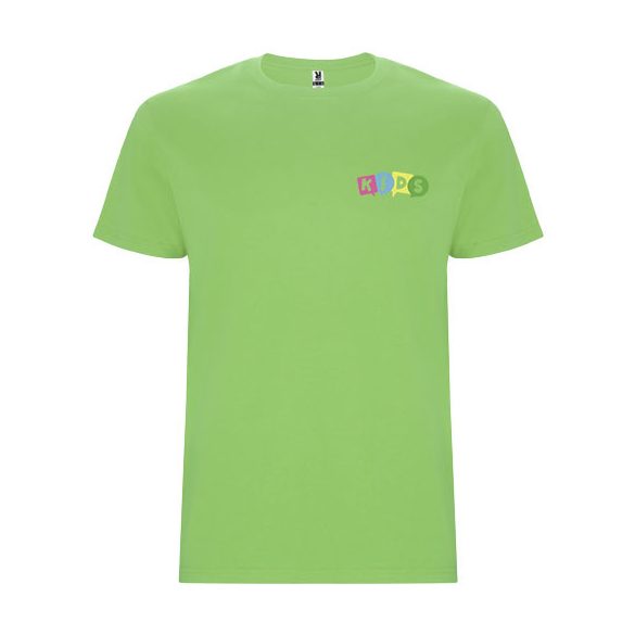 Stafford short sleeve kids t-shirt