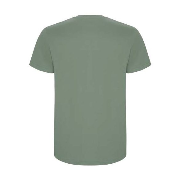 Stafford short sleeve kids t-shirt