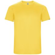 Imola short sleeve men's sports t-shirt