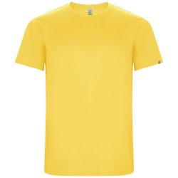 Imola short sleeve men's sports t-shirt