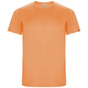 Imola short sleeve men's sports t-shirt