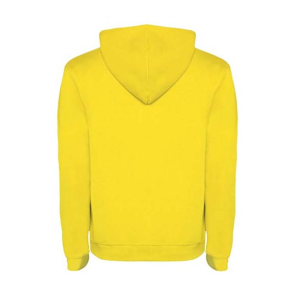 Urban men's hoodie