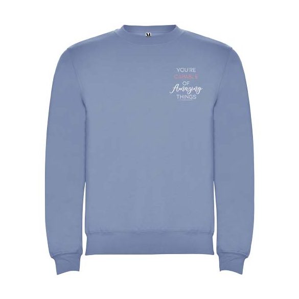 Clasica unisex crewneck sweater