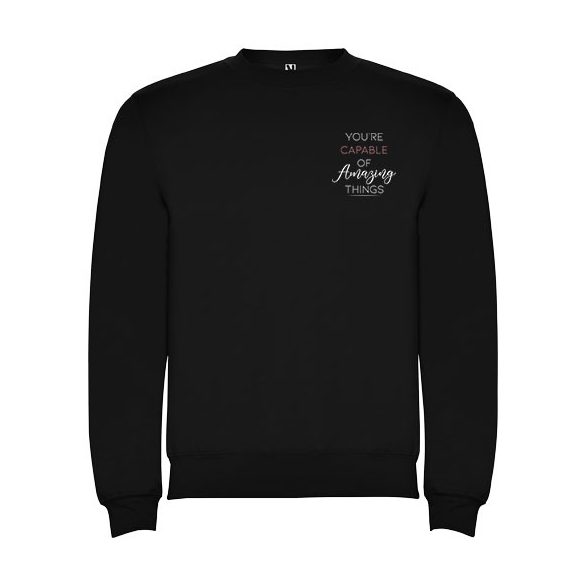 Clasica unisex crewneck sweater