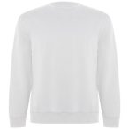 Batian unisex crewneck sweater