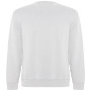 Batian unisex crewneck sweater