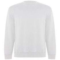 Batian unisex crewneck sweater