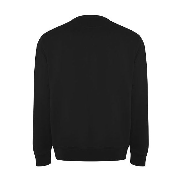 Batian unisex crewneck sweater