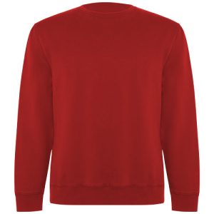 Batian unisex crewneck sweater