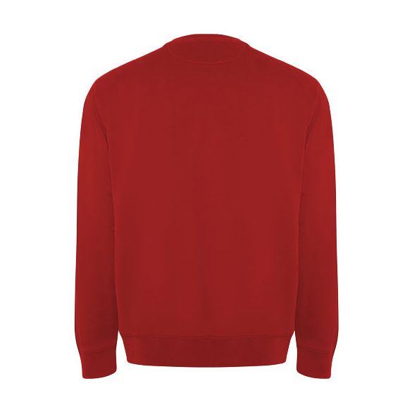 Batian unisex crewneck sweater