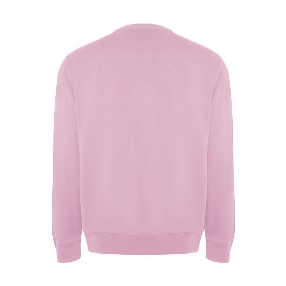 Batian unisex crewneck sweater