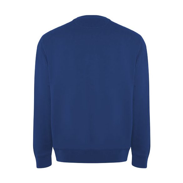 Batian unisex crewneck sweater