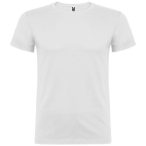 Beagle short sleeve men's t-shirt
