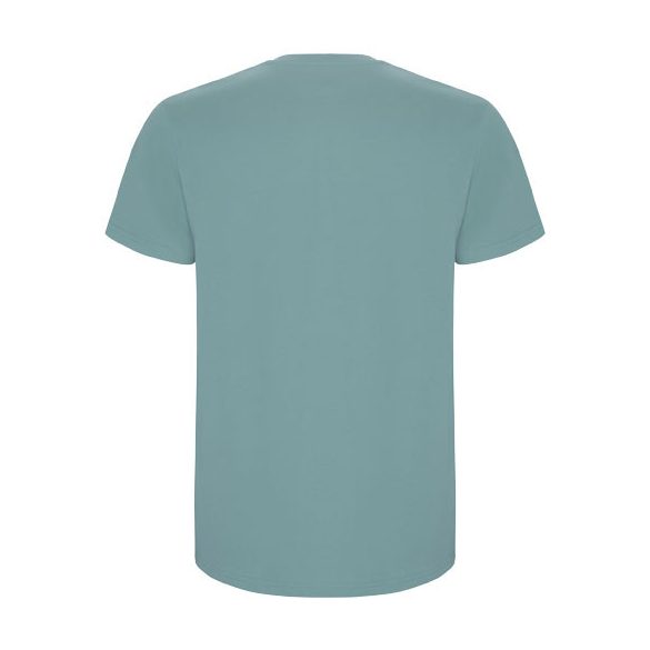 Stafford short sleeve men's t-shirt