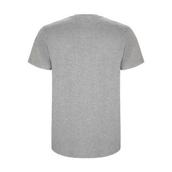 Stafford short sleeve men's t-shirt