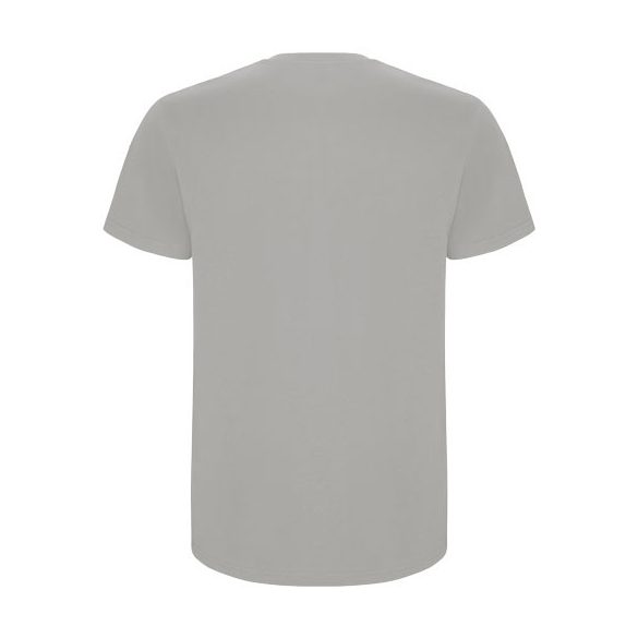 Stafford short sleeve men's t-shirt