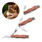 GUNTER. Pocket knife in stainless steel and wood