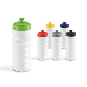 LOWRY. Sports bottle 530 ml