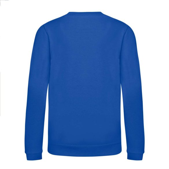 Just Hoods AWJH030J Bright Royal 9/11