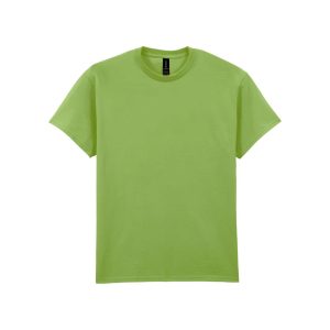 Gildan GI2000 Kiwi 2XL