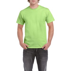 Gildan GI5000 Mint Green 3XL
