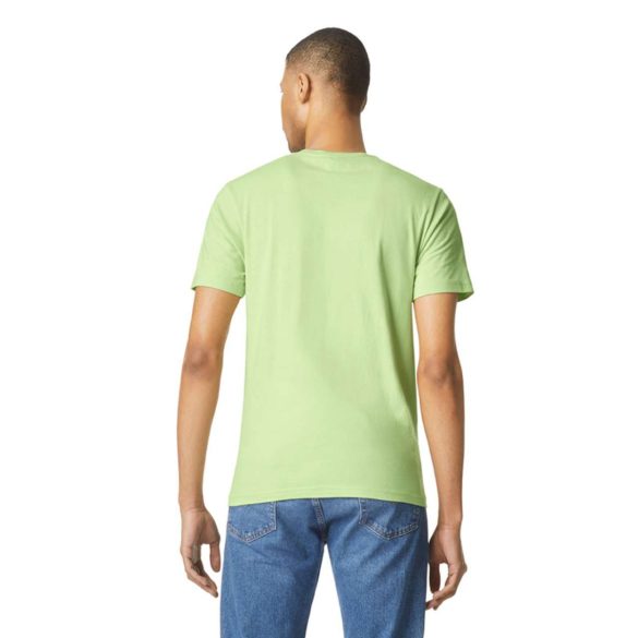 Gildan GI64000 Pistachio 3XL