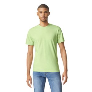 Gildan GI64000 Pistachio L