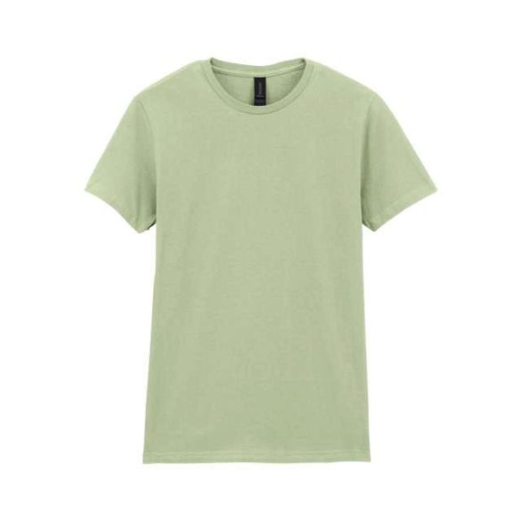 Gildan GIL64000-EX Pistachio 2XL