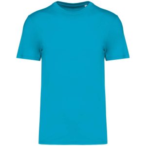 Native Spirit NS300 Light Turquoise 2XL