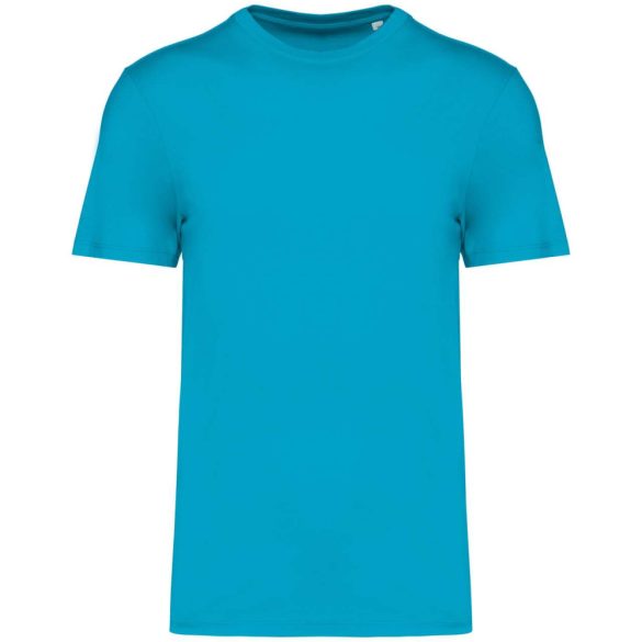 Native Spirit NS300 Light Turquoise 2XL