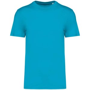 Native Spirit NS300 Light Turquoise S