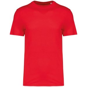 Native Spirit NS300 Poppy Red 4XL