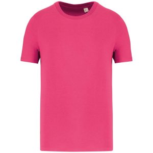 Native Spirit NS300 Raspberry Sorbet L