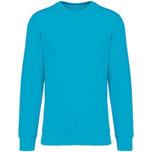 Native Spirit NS400 Light Turquoise 2XL