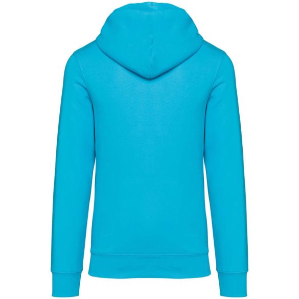 Native Spirit NS401 Light Turquoise 2XL