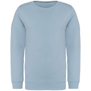 Native Spirit NS403 Aquamarine 12/14