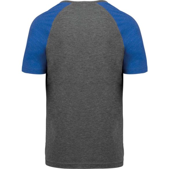 Proact PA4010 Grey Heather/Sporty Royal Blue Heather 3XL