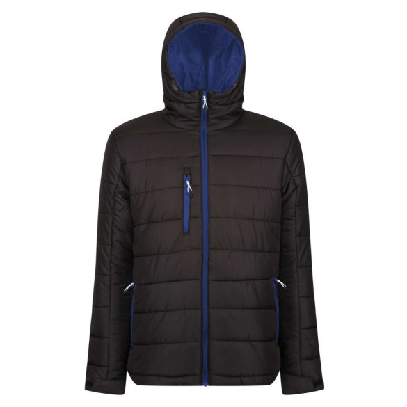 Regatta RETRA241 Black/New Royal XL