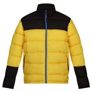 Regatta RETRA536 Solar/Black 2XL