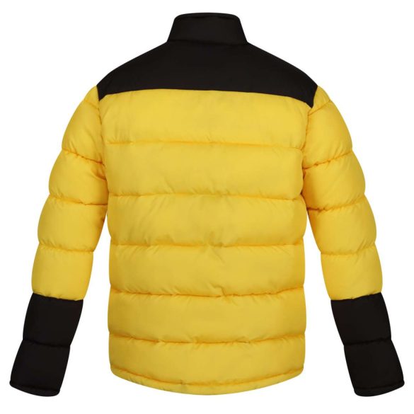Regatta RETRA536 Solar/Black 2XL