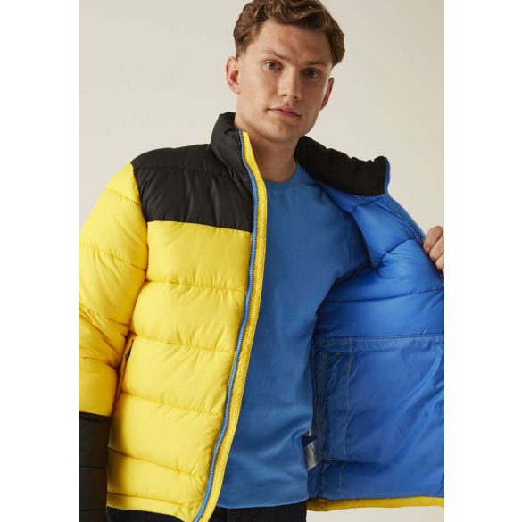 Regatta RETRA536 Solar/Black 2XL