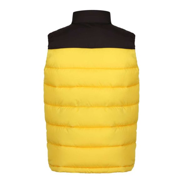 Regatta RETRA891 Solar/Black 3XL